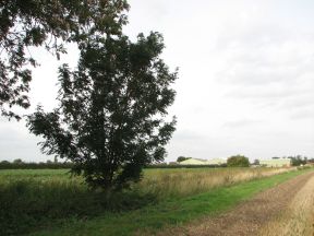 Greenwich Meridian Marker; England; Lincolnshire; Holbeach Clough